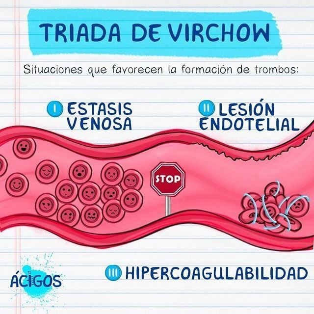 triada-virchon.jpg