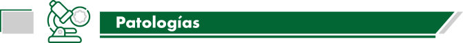 Patologias.png