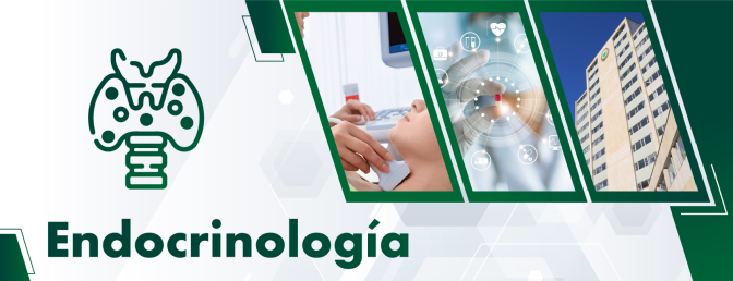 8-Endocrinologia.png