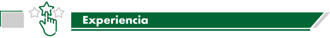 Experiencia.png